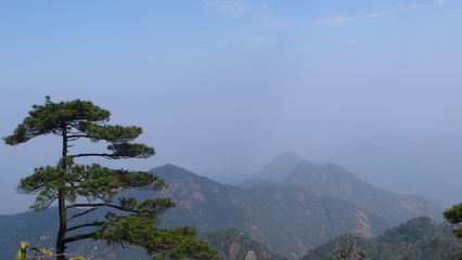 三清山三洞口攻略,三清山三洞口門票/游玩攻略/地址/圖片/門票價格【攜程攻略】