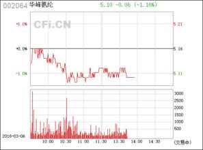 華峰氨綸（002064） 氨綸行業的領軍者
